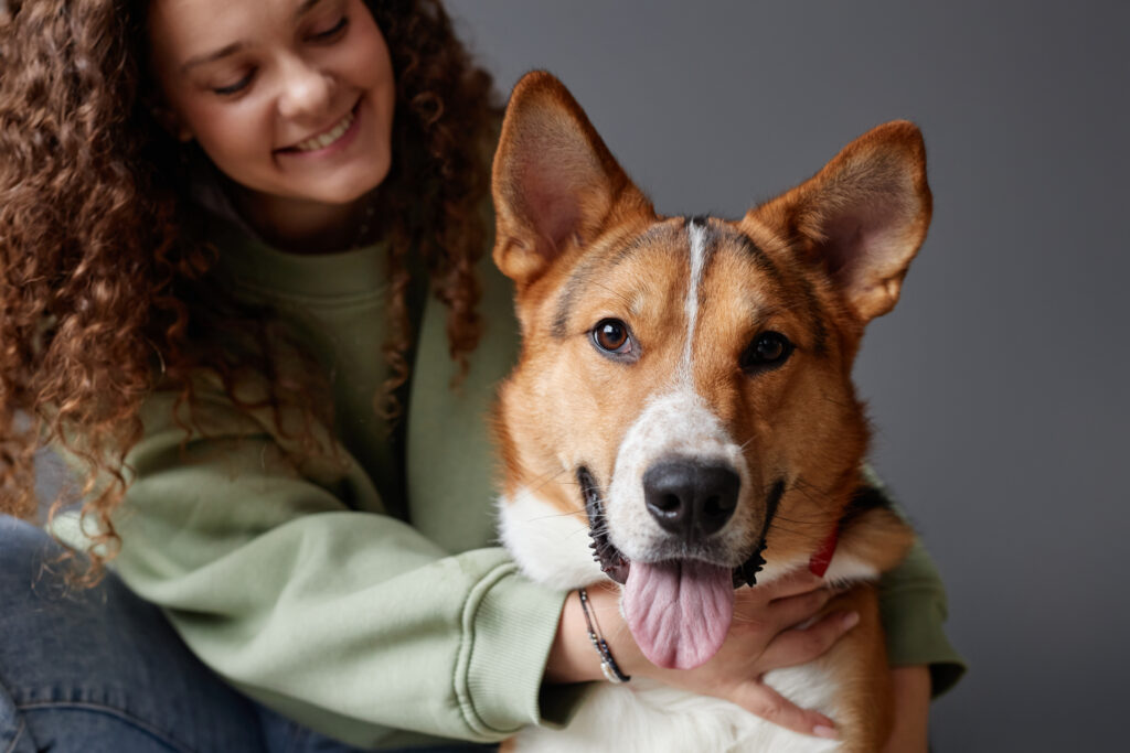 Top 5 Best Print on Demand Pet products