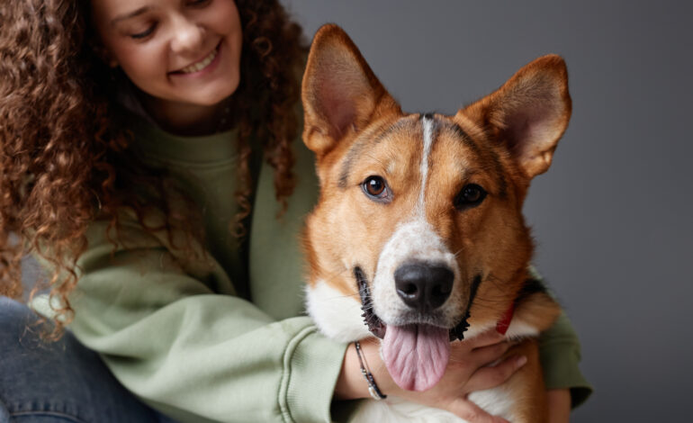 Top 5 Best Print on Demand Pet products
